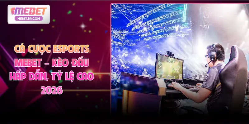Cá Cược Esports MEBET – Kèo Đấu Hấp Dẫn, Tỷ Lệ Cao 2026