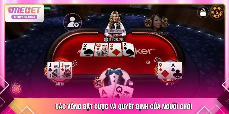 Các vòng đặt cược và quyết định của người chơi