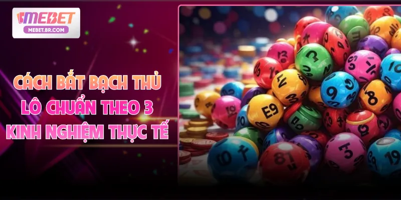 Cách Bắt Bạch Thủ Lô Chuẩn Theo 3 Kinh Nghiệm Thực Tế