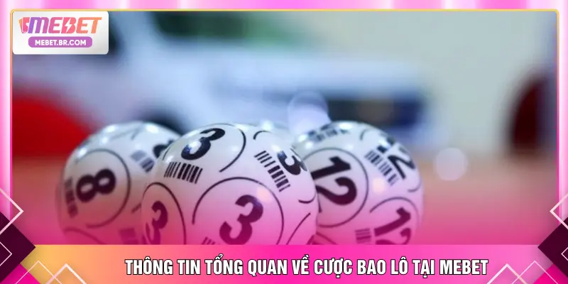 Thông tin tổng quan về cược bao lô tại MEBET
