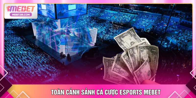 Toàn cảnh sảnh cá cược Esports MEBET