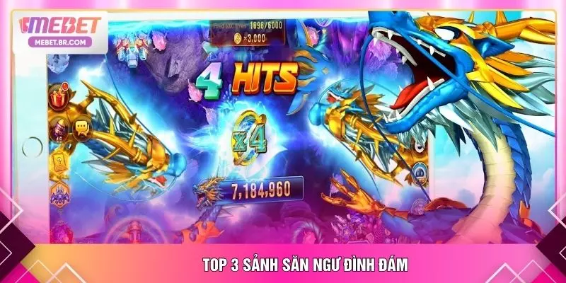 Top 3 sảnh săn ngư đình đám
