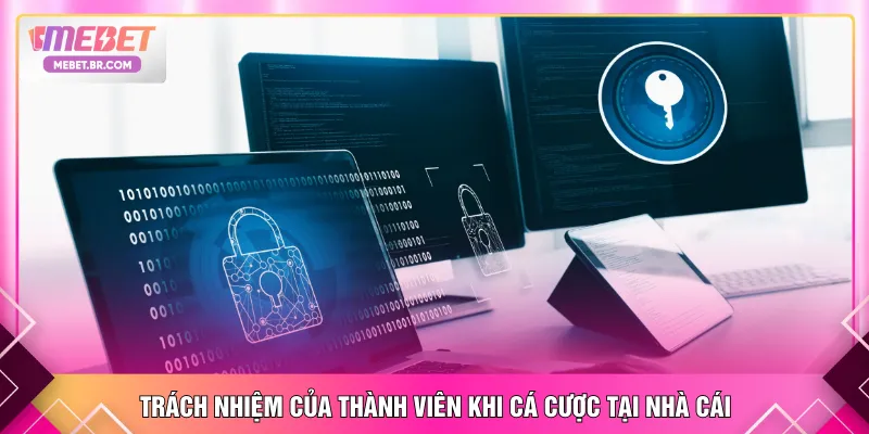 Trách nhiệm của thành viên khi cá cược tại nhà cái